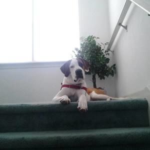 Meet your Posher, Beth